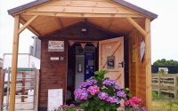 Dawlicious Shed